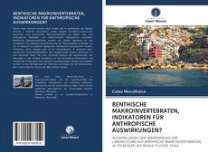 Bookcover of BENTHISCHE MAKROINVERTEBRATEN, INDIKATOREN FÜR ANTHROPISCHE AUSWIRKUNGEN?