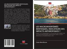 Buchcover von LES MACROINVERTÉBRÉS BENTHIQUES, INDICATEURS DES IMPACTS ANTHROPIQUES ?