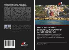 Bookcover of MACROINVERTEBRATI BENTONICI, INDICATORI DI IMPATTI ANTROPICI?