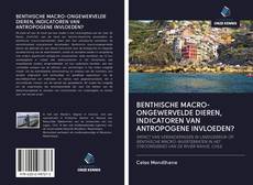 Bookcover of BENTHISCHE MACRO-ONGEWERVELDE DIEREN, INDICATOREN VAN ANTROPOGENE INVLOEDEN?