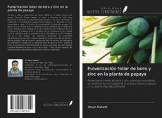 Couverture de Pulverización foliar de boro y zinc en la planta de papaya