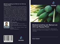 Copertina di Bladverneveling van Borium en Zink op Papaya Plant