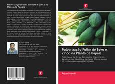 Обложка Pulverização Foliar de Boro e Zinco na Planta da Papaia