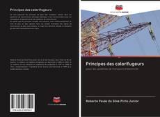 Bookcover of Principes des calorifugeurs