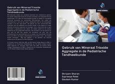 Buchcover von Gebruik van Mineraal Trioxide Aggregate in de Pediatrische Tandheelkunde