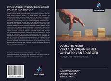 Bookcover of EVOLUTIONAIRE VERANDERINGEN IN HET ONTWERP VAN BRUGGEN