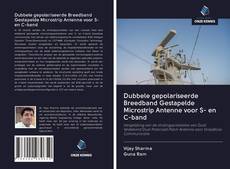 Bookcover of Dubbele gepolariseerde Breedband Gestapelde Microstrip Antenne voor S- en C-band