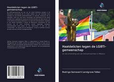 Copertina di Haatdelicten tegen de LGBTI-gemeenschap