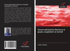 Ocena wdrażania literatury w języku angielskim w Zambii kitap kapağı