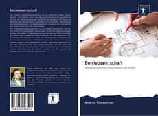 Capa do livro de Betriebswirtschaft 