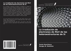 Capa do livro de La irradiación de electrones de MeV de las heteroestructuras de Si 