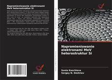 Buchcover von Napromieniowanie elektronami MeV heterostruktur Si