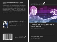 Bookcover of Clasificación, aislamiento de la célula madre