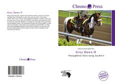 Bookcover of Grey Dawn II