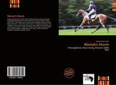 Bookcover of Mariah's Storm