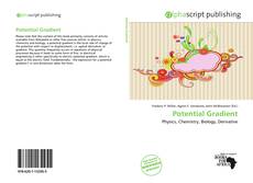 Borítókép a  Potential Gradient - hoz