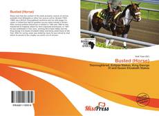 Bookcover of Busted (Horse)