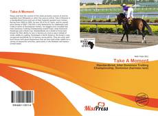 Take A Moment的封面