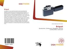 Briquet kitap kapağı