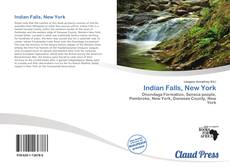 Portada del libro de Indian Falls, New York