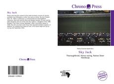 Buchcover von Sky Jack