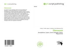 Ebenaceae kitap kapağı