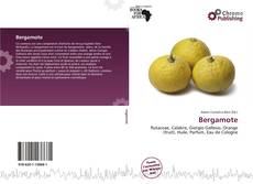 Bookcover of Bergamote