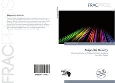 Magnetic Helicity kitap kapağı