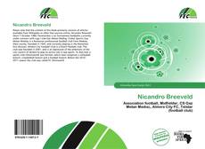 Buchcover von Nicandro Breeveld