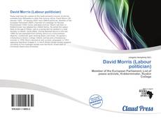 Bookcover of David Morris (Labour politician)