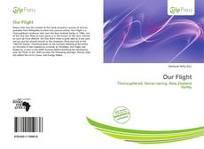 Our Flight的封面