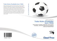 Bookcover of Todor Kolev (Footballer born 1942)