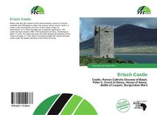 Buchcover von Erlach Castle