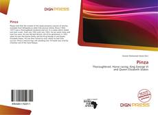 Pinza kitap kapağı