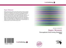 Capa do livro de Super Moment 