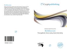 Bookcover of Boldnesian