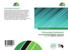 Buchcover von Pintassilgo (footballer)