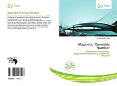 Buchcover von Magnetic Reynolds Number