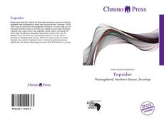 Bookcover of Topsider