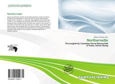 Bookcover of Northernette