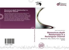 Momentum-depth Relationship in a Rectangular Channel的封面