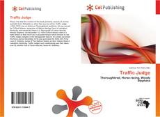 Portada del libro de Traffic Judge