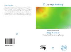 Bookcover of Blue Norther