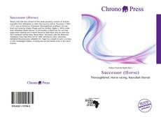 Buchcover von Successor (Horse)