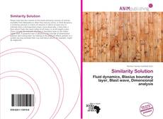 Capa do livro de Similarity Solution 