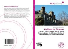 Château de Pézenas kitap kapağı