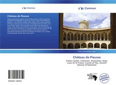 Capa do livro de Château de Pieusse 