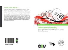 Couverture de Owen Tudor (Horse)