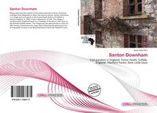 Capa do livro de Santon Downham 