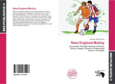 Capa do livro de New England Mutiny 